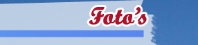 Foto's
